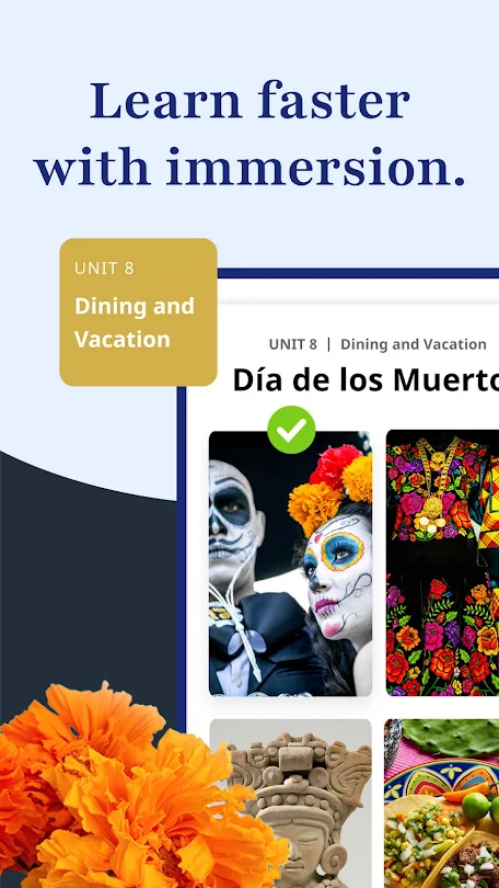 Rosetta Stone schermata 2